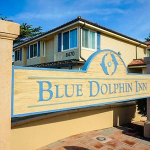 Blue Dolphin Inn